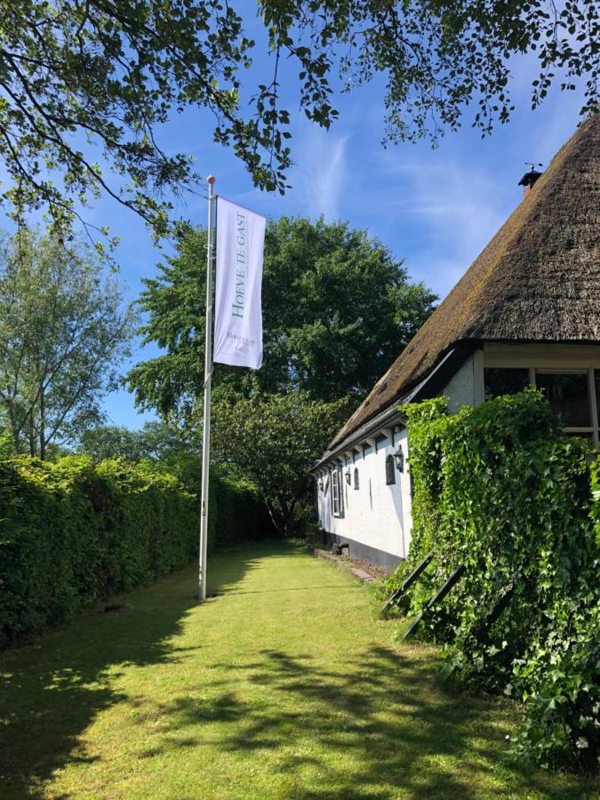 Hoeve Te Gast - Vakantieboerderij Groet Exterior photo